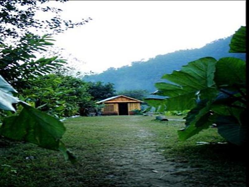 Elephant Brook Resort Rishīkesh Exteriör bild